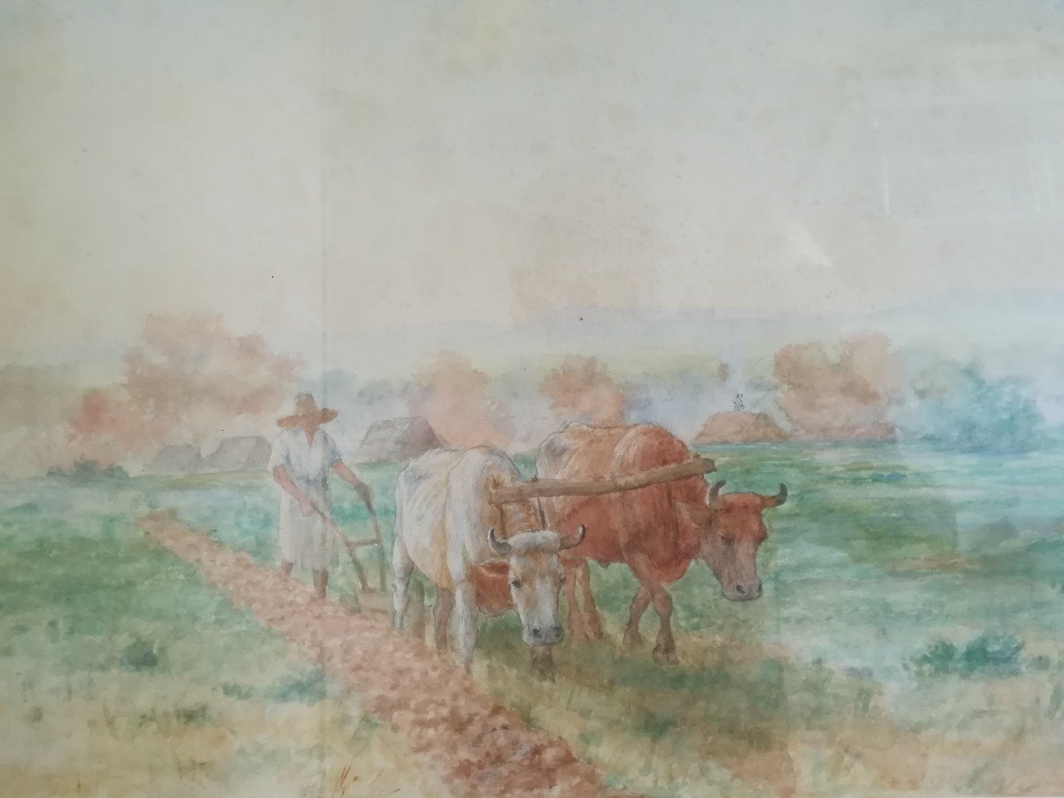 Watercolor Old Plowing Scene-photo-2