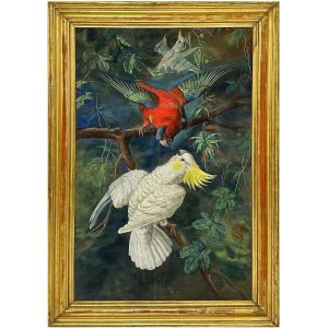 Friedrich Wilhelm Kunhert (attr.)1865 – 1926 -parrots And Jays 2 Gouache - Germany