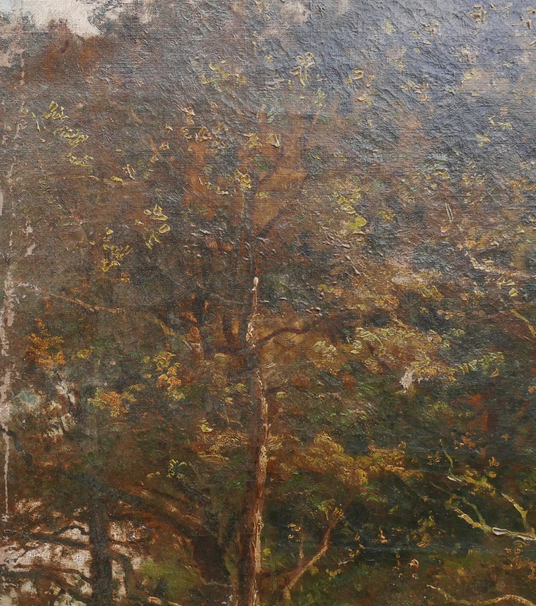 Edmond De Schampheleer Large Landscape Edge Of The Woods Oil/canvas 19th Century Signed-photo-4