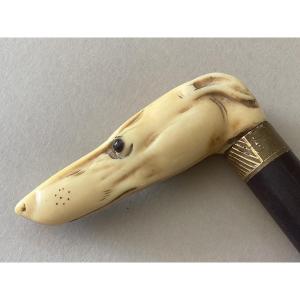Animal Cane - Ivory Knob Representing A Greyhound's Head With Its Sulphide Eyes