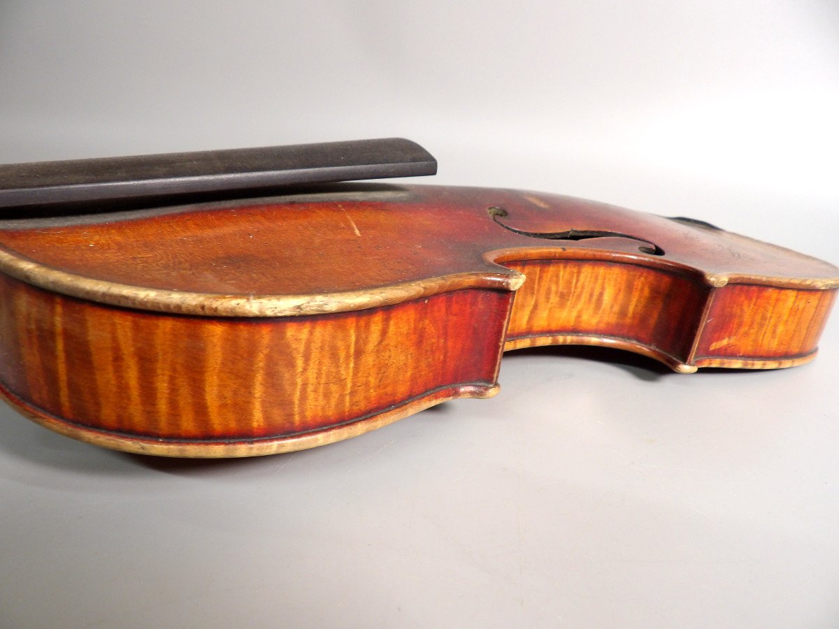 Violon du XIXème dans le goût de Nicolo AMATI-photo-5