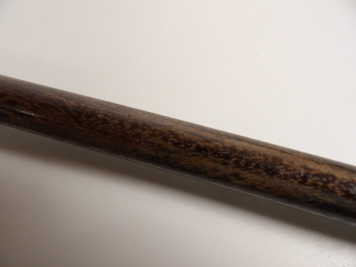 Walking Stick In Bone And Exotic Wood-photo-4