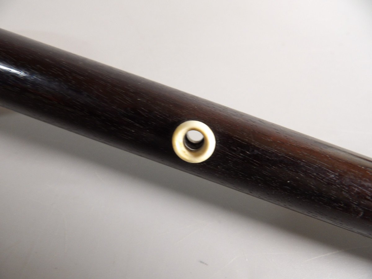 Walking Stick In Bone And Exotic Wood-photo-1