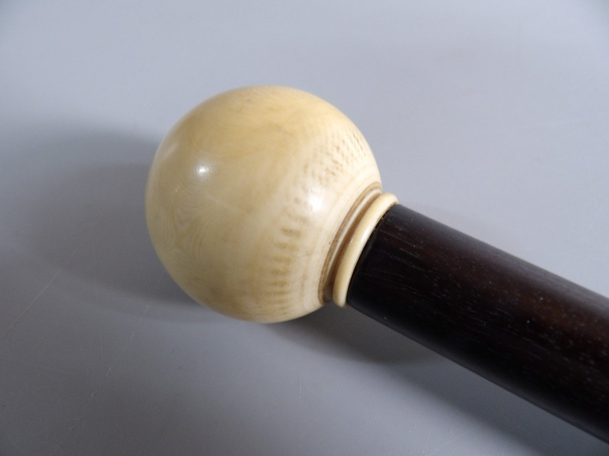 Walking Stick In Bone And Exotic Wood-photo-3