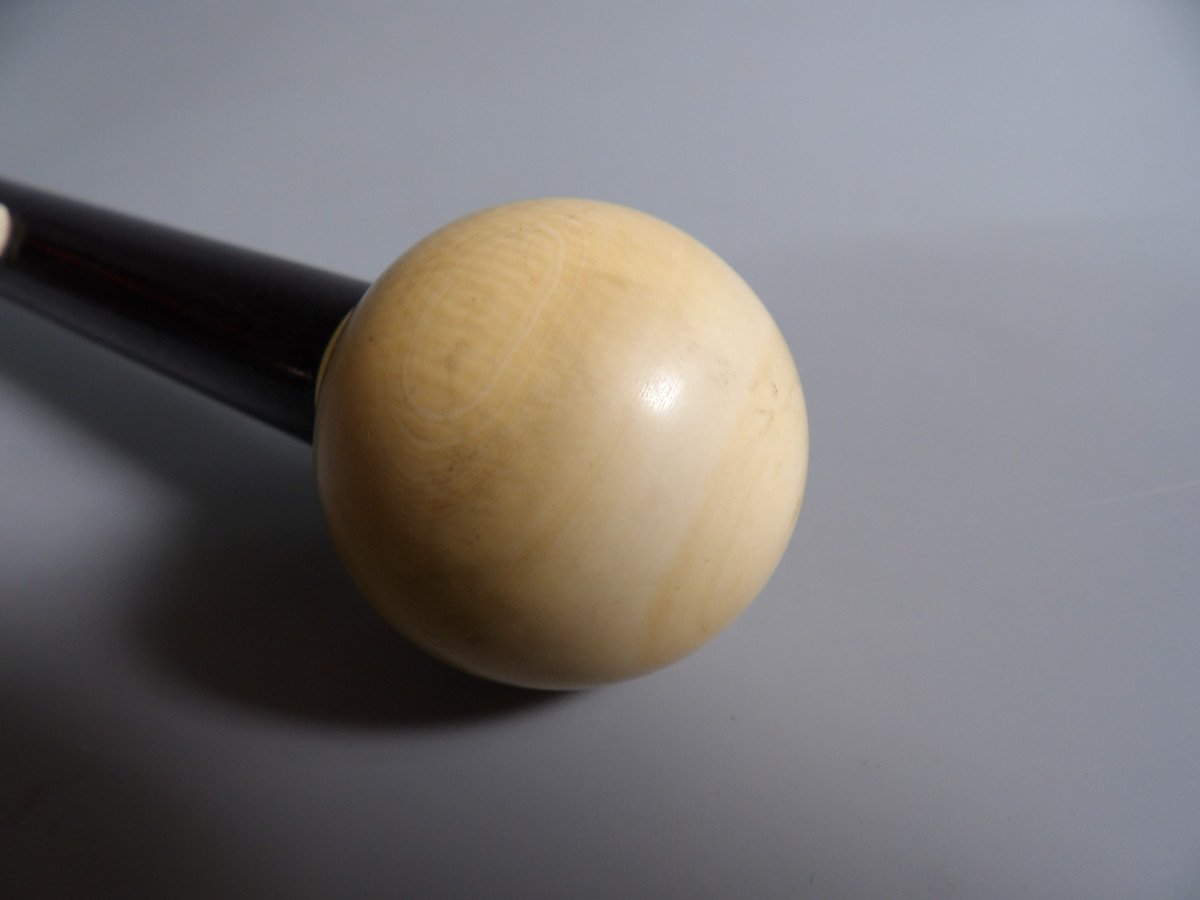 Walking Stick In Bone And Exotic Wood-photo-4