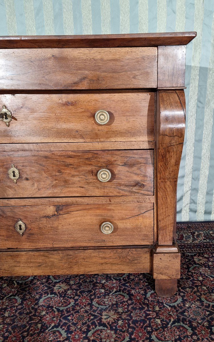 Restoration Walnut Chest Of Drawers, 19th Century. -photo-2