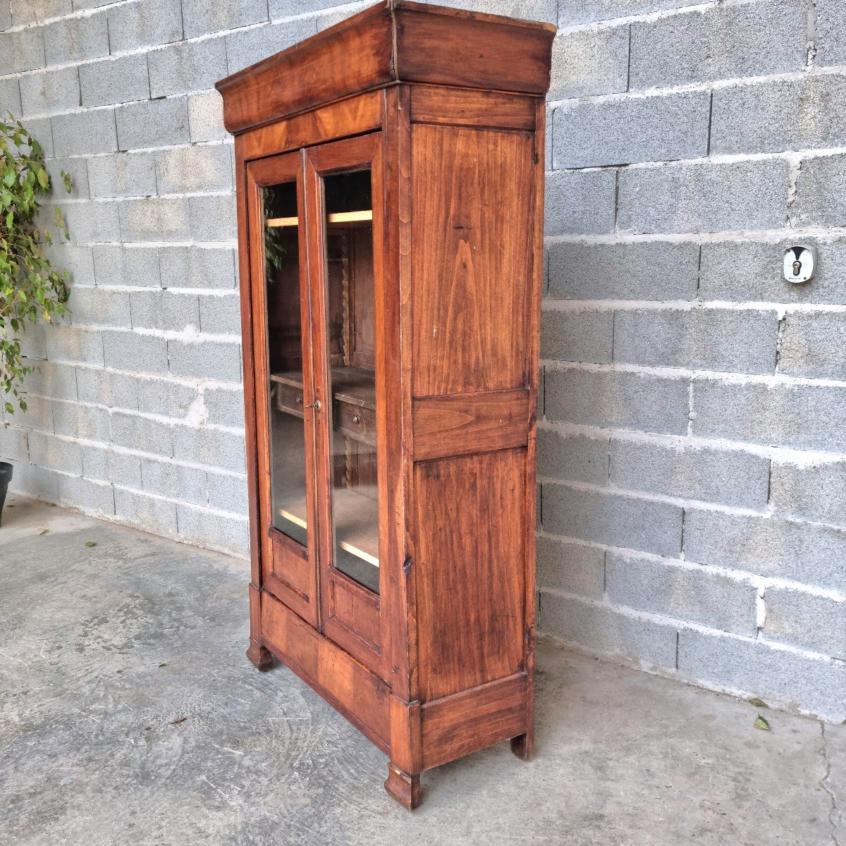 Louis Philippe Mahogany Bookcase, Display Cabinet, 19th Century. -photo-2