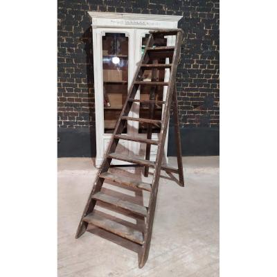 Workshop Stepladder