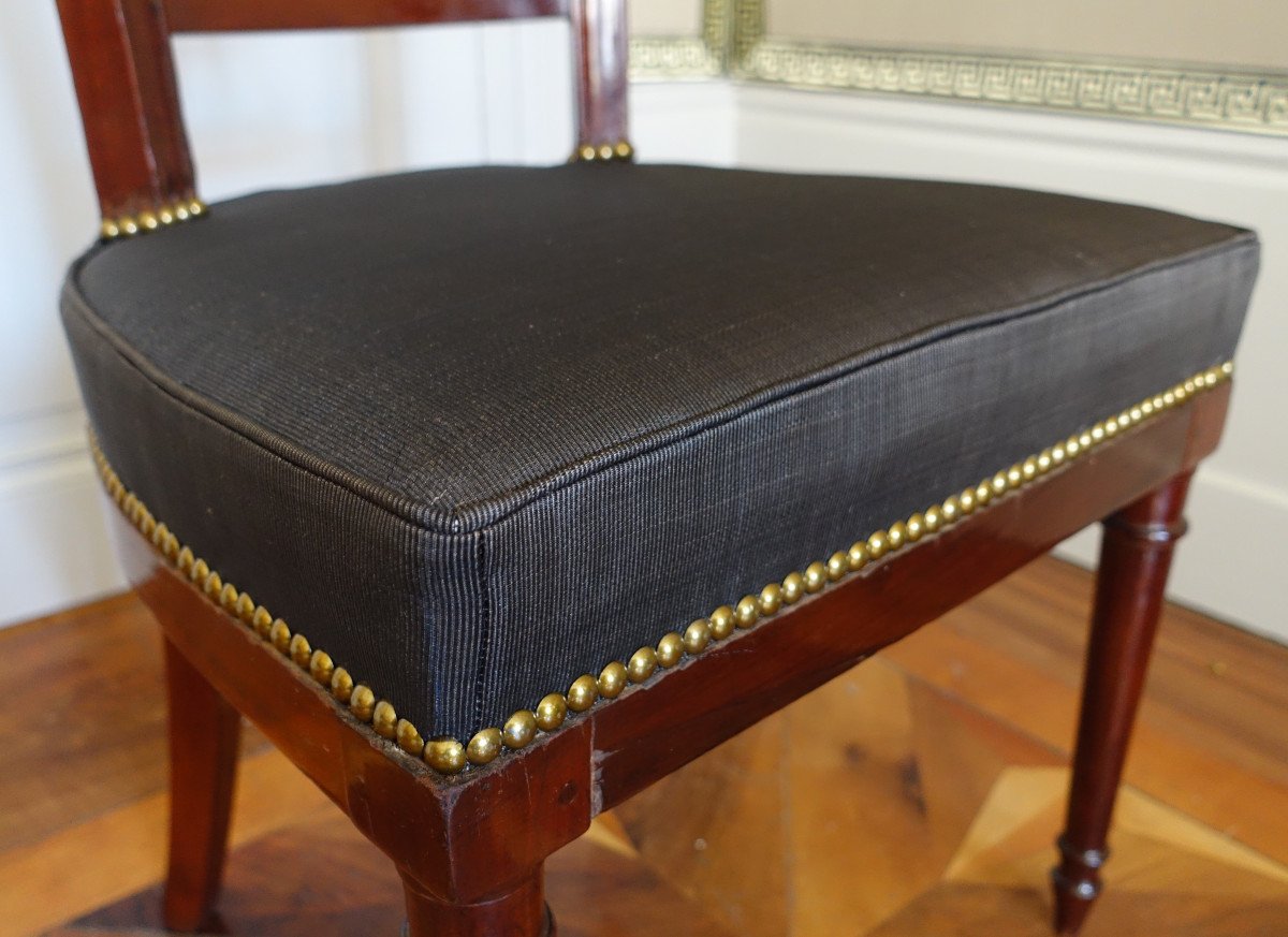 Pair Of Russian Directoire Chairs In Mahogany, Ebony Brass And Horsehair Covers -photo-7