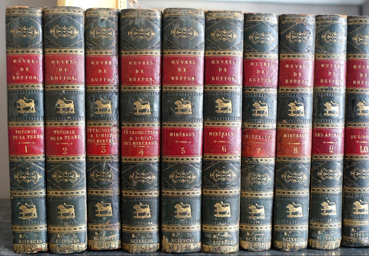 Buffon's Natural History, 26 Volumes And Colored Plates - - 26 Volumes - 1829-photo-3