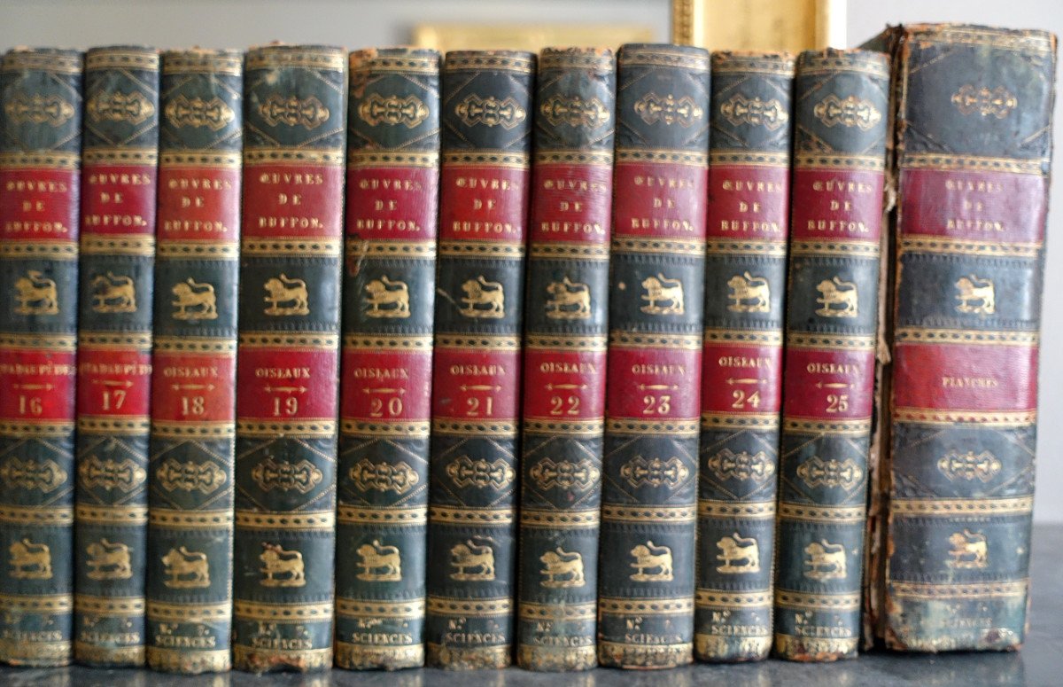 Buffon's Natural History, 26 Volumes And Colored Plates - - 26 Volumes - 1829-photo-1