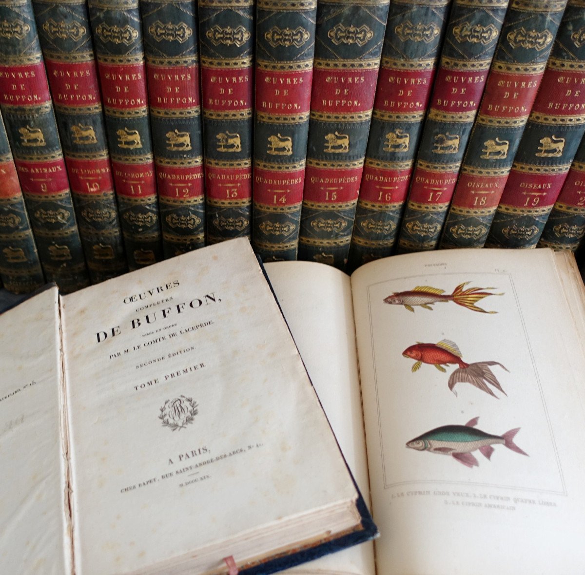 Buffon's Natural History, 26 Volumes And Colored Plates - - 26 Volumes - 1829