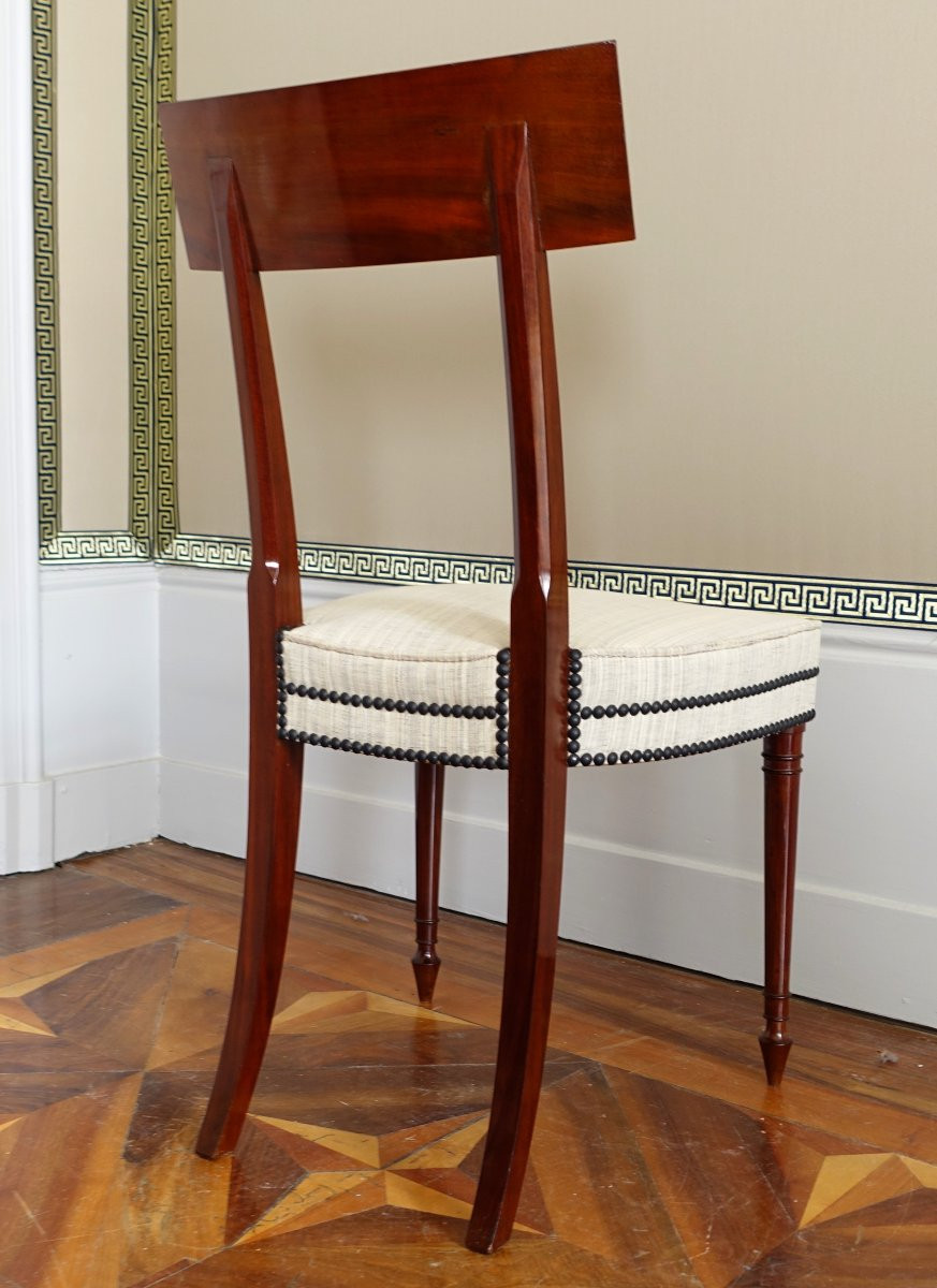 Set Of 10 Directoire Mahogany Dining Chairs With Horsehair Covers, Jacob Model-photo-2