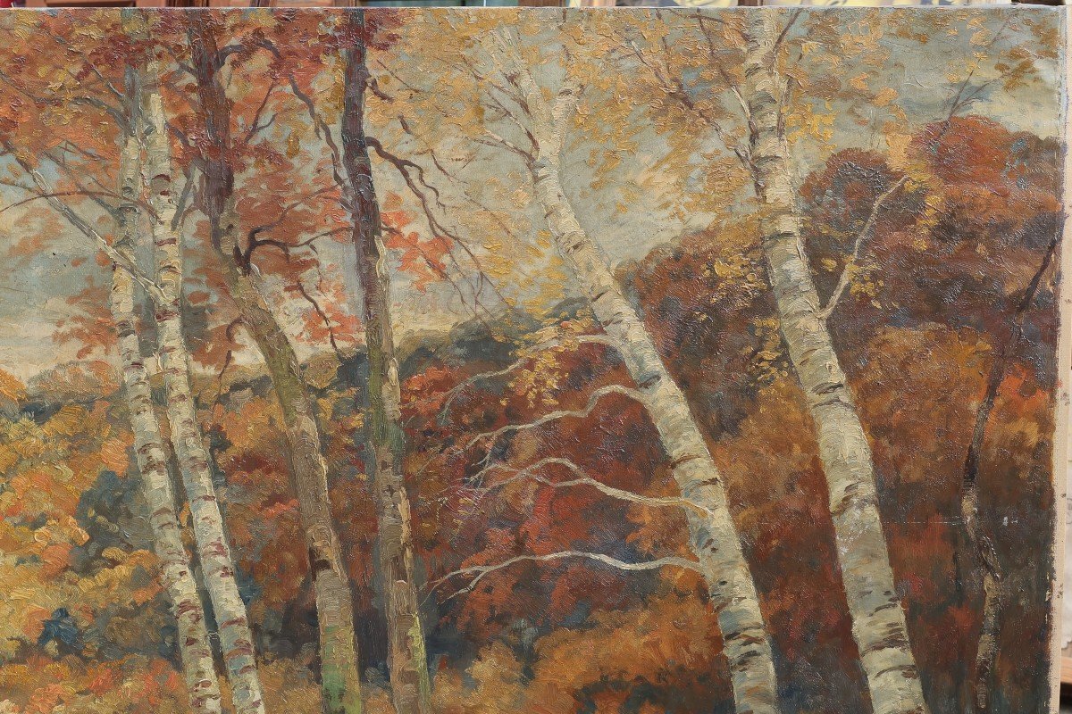 Très grand tableau. La rivière en automne, la Meuse ? Willem DELSAUX (1862-1945)-photo-4