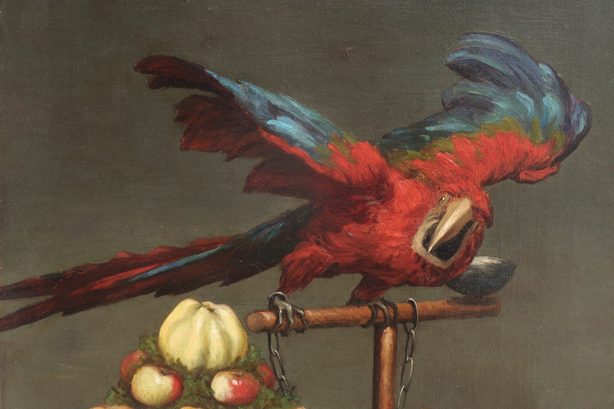 Paul Désiré Trouillebert (1829-1900). Still Life With Parrot.-photo-3