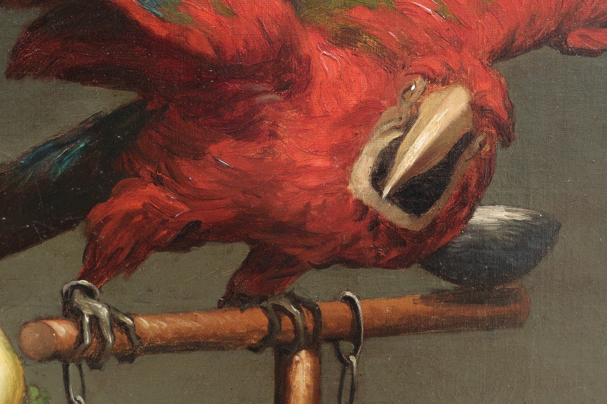 Paul Désiré Trouillebert (1829-1900). Still Life With Parrot.-photo-1