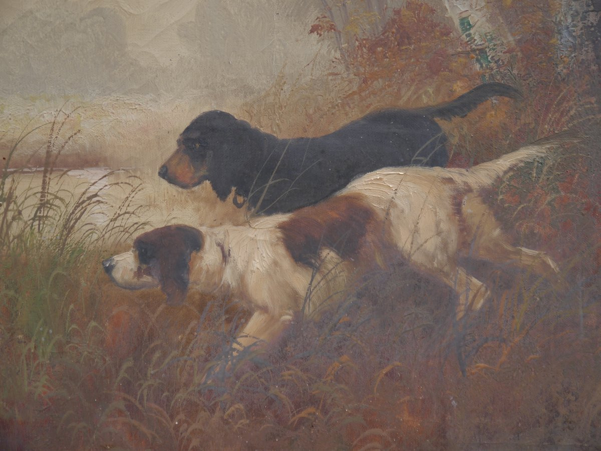 Hunting Dogs. In Fabrot, Early 20th Century-photo-2