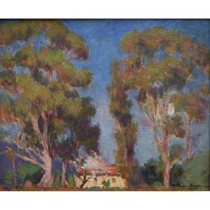 Joseph-victor Roux-champion (1871-1953). Landscape With Large Trees, Provence, Côte d'Azur.