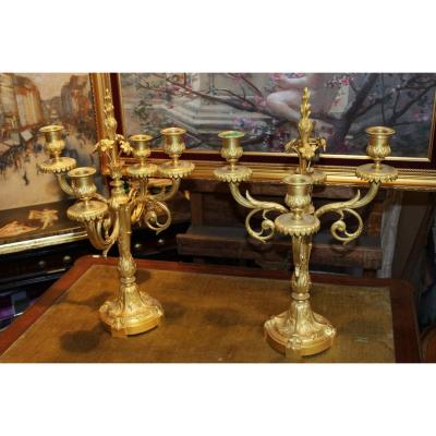 Pair Of Louis XVI Style Golden Candelabra