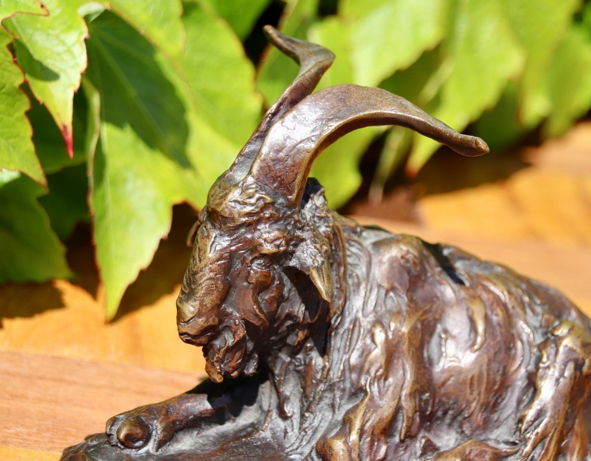 Bronze Of A Goat, 19th Century, Signed Magrou, Founder Siot Paris-photo-4