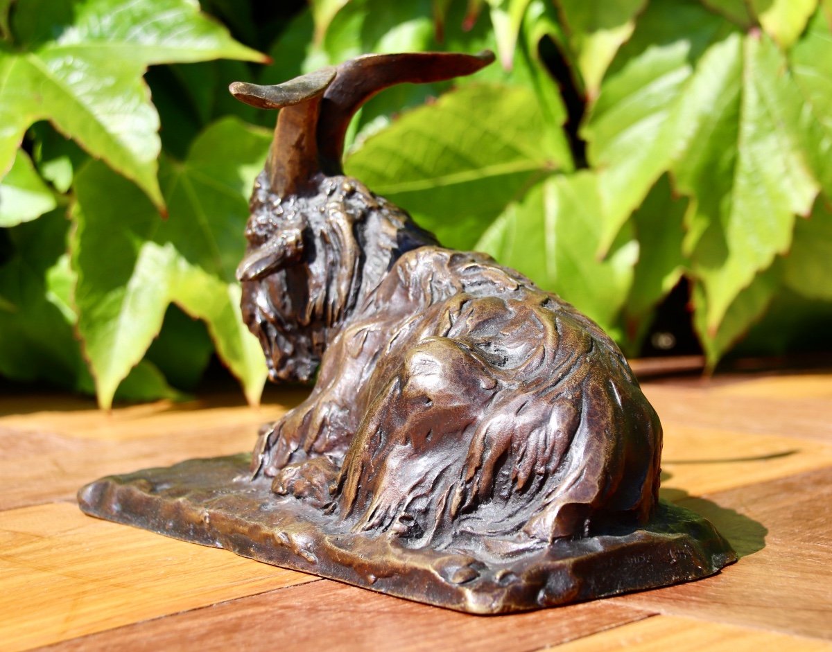 Bronze Of A Goat, 19th Century, Signed Magrou, Founder Siot Paris-photo-1