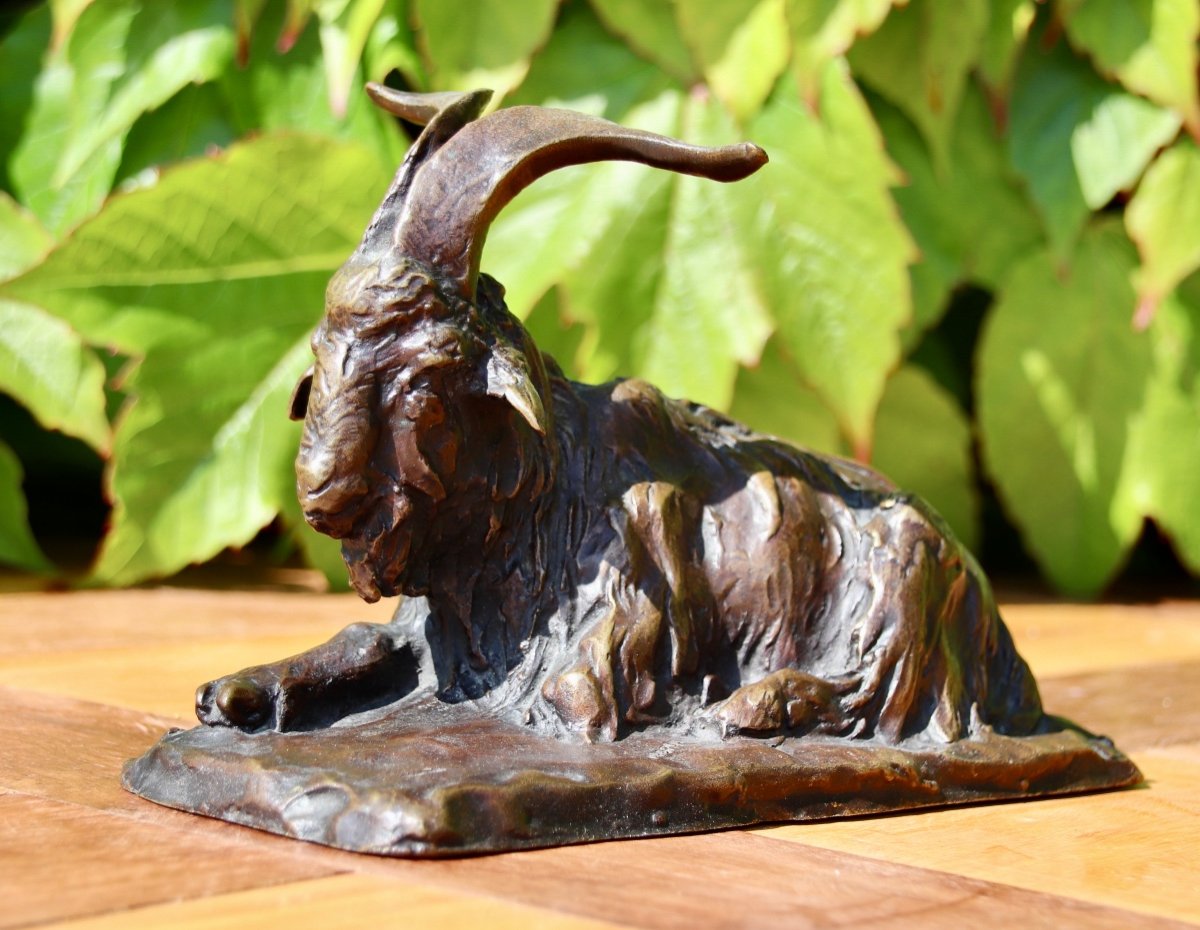 Bronze Of A Goat, 19th Century, Signed Magrou, Founder Siot Paris-photo-3