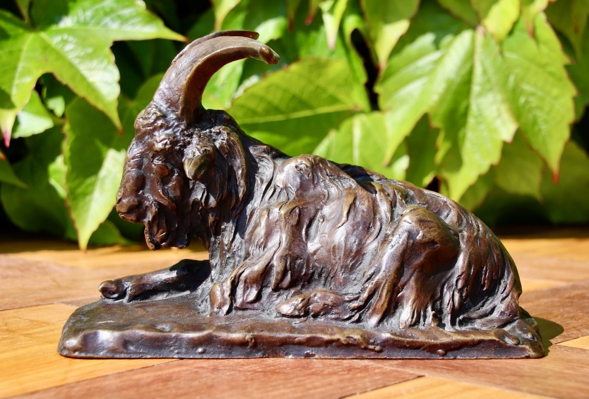 Bronze Of A Goat, 19th Century, Signed Magrou, Founder Siot Paris