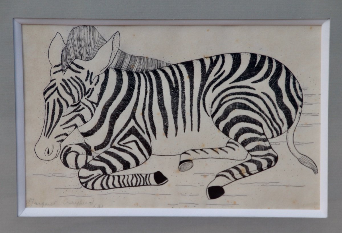 Zebra Drawing By Margaret Craighead -photo-2