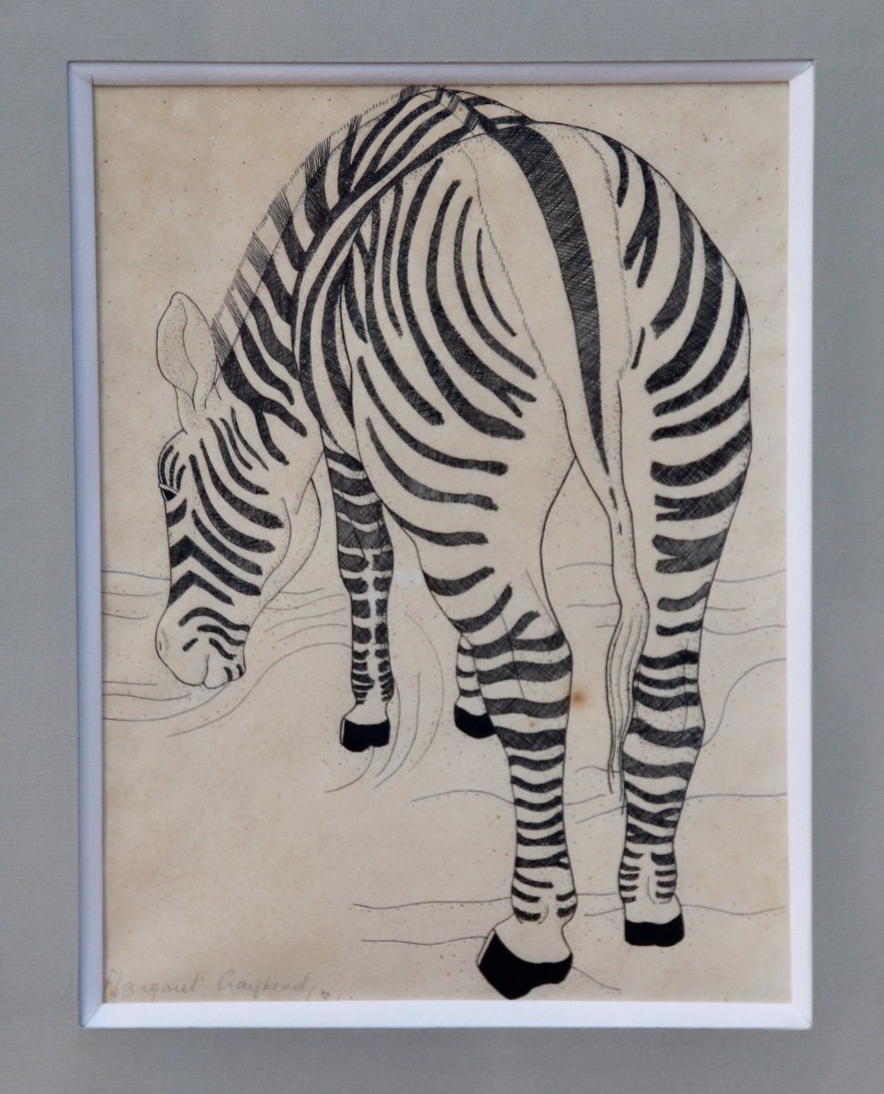 Zebra Drawing By Margaret Craighead -photo-3