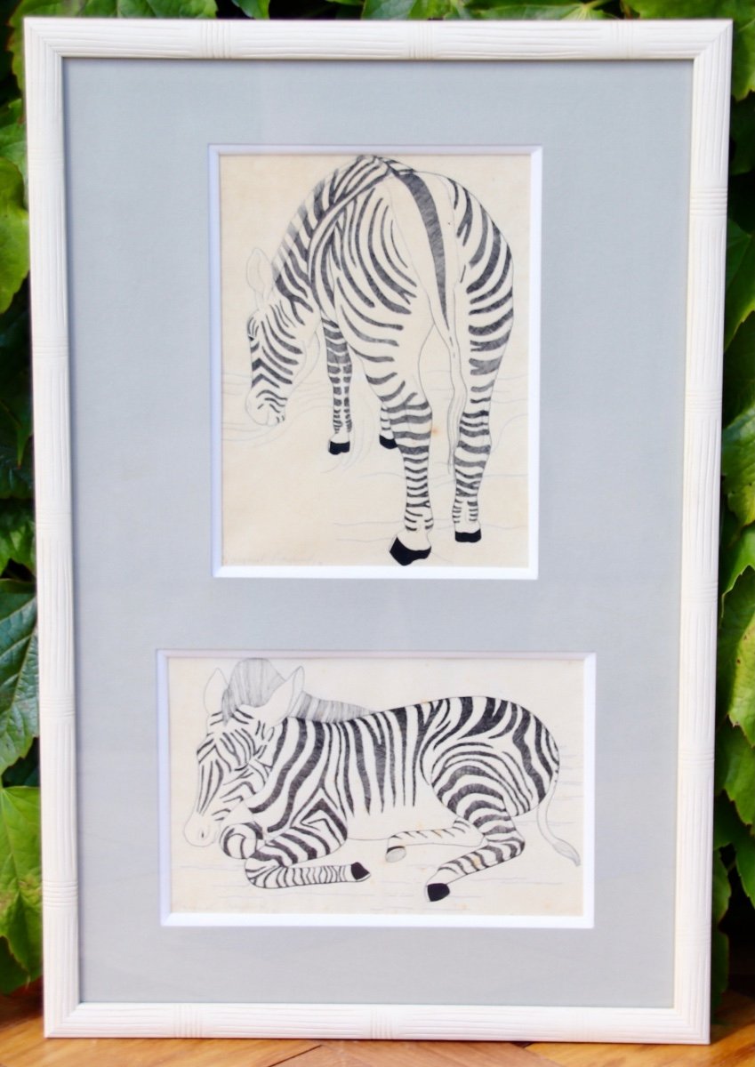 Zebra Drawing By Margaret Craighead -photo-1