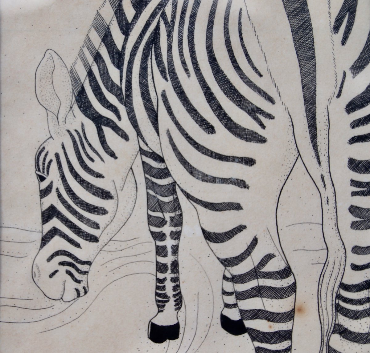 Zebra Drawing By Margaret Craighead -photo-2