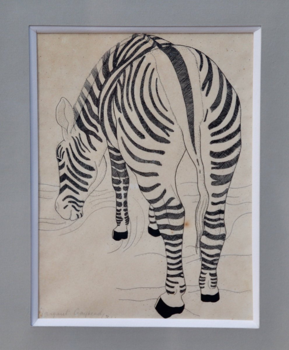 Zebra Drawing By Margaret Craighead -photo-5