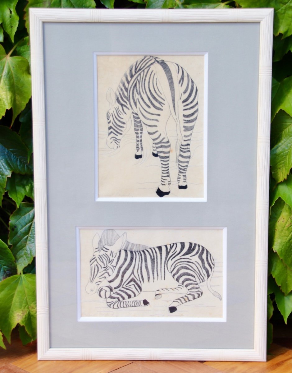 Zebra Drawing By Margaret Craighead 