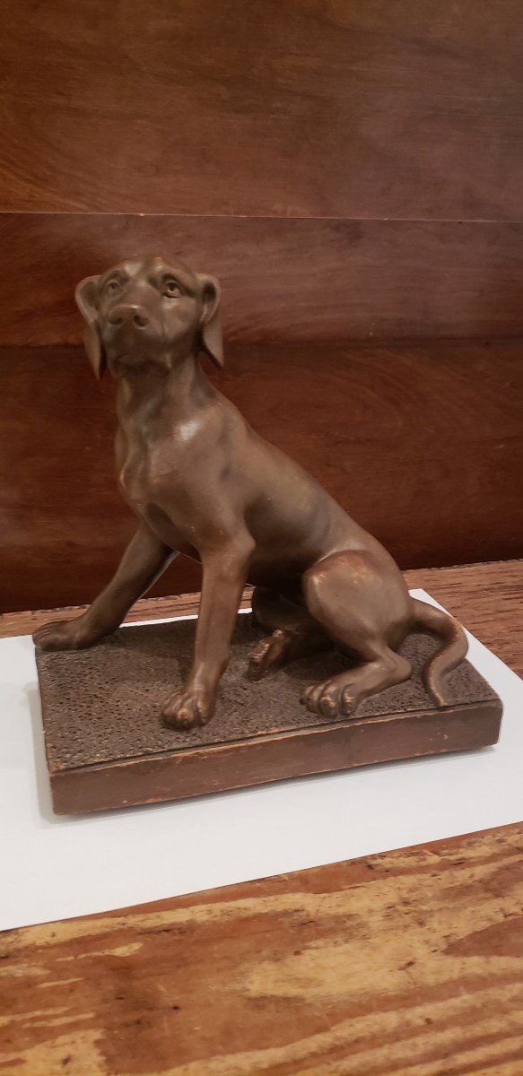 Terracotta Dog / Castelnaudary Factory / Early 20th Century-photo-2