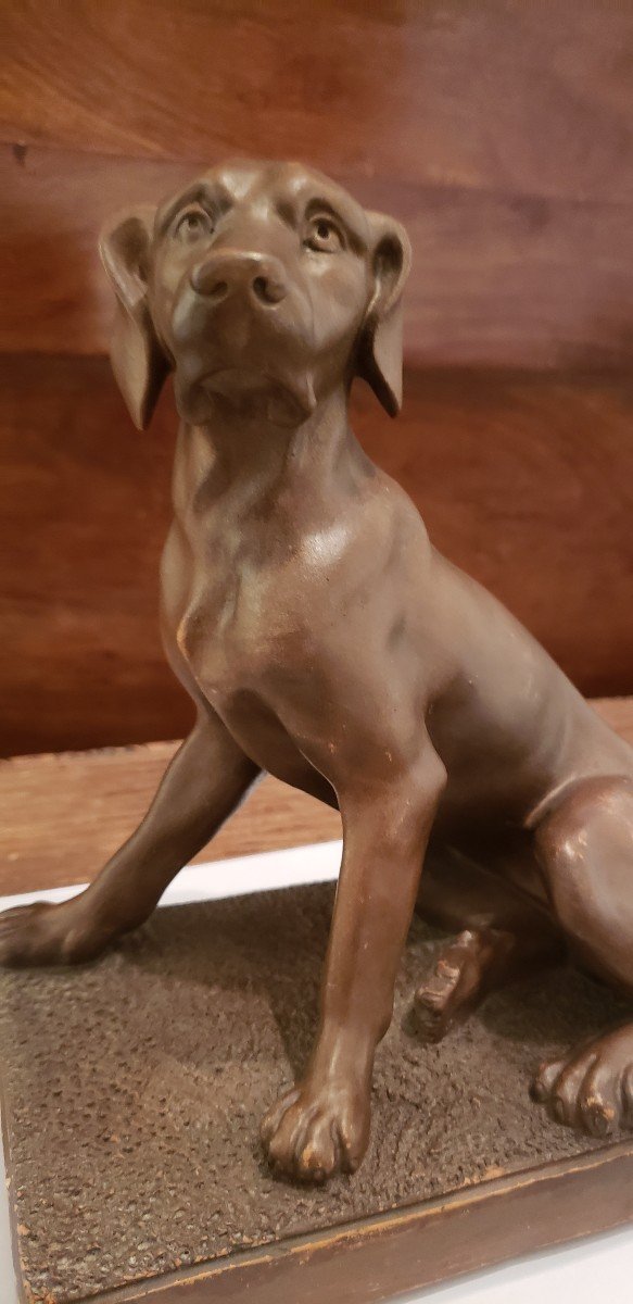 Terracotta Dog / Castelnaudary Factory / Early 20th Century-photo-4