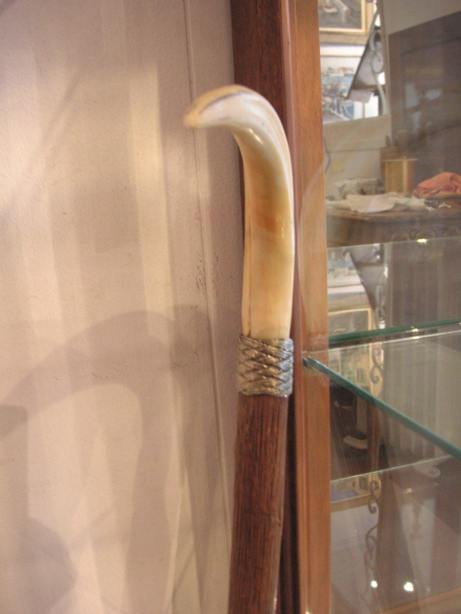 Cane With 19th Century Ivory Tusk / Wood-silver-ivory-photo-4