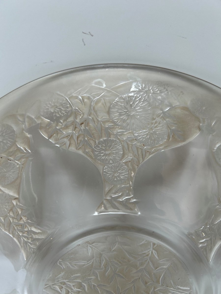 René Lalique Plat Ou Assiette Modèle Vase N1-photo-2