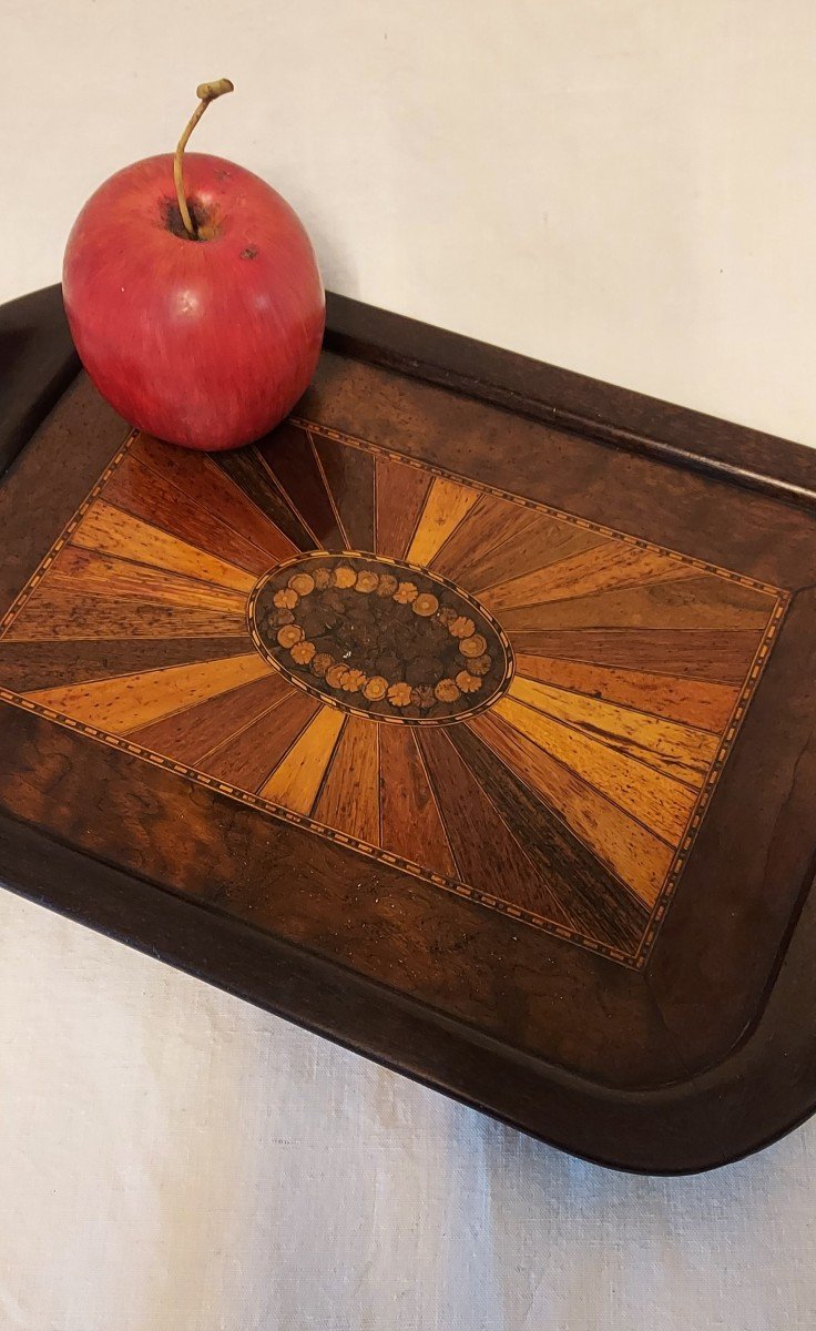 Wood Marquetry Tray With Sampling Of Several Species In Radiant Decor.-photo-2