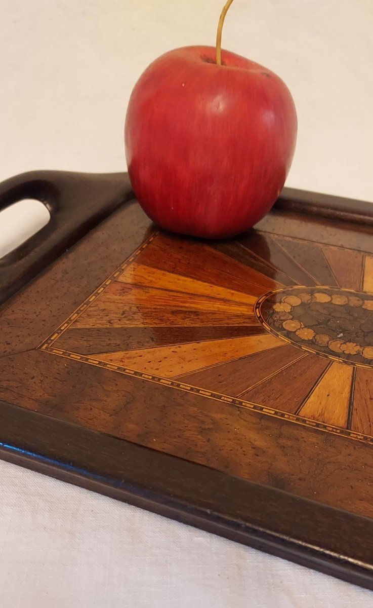 Wood Marquetry Tray With Sampling Of Several Species In Radiant Decor.-photo-4