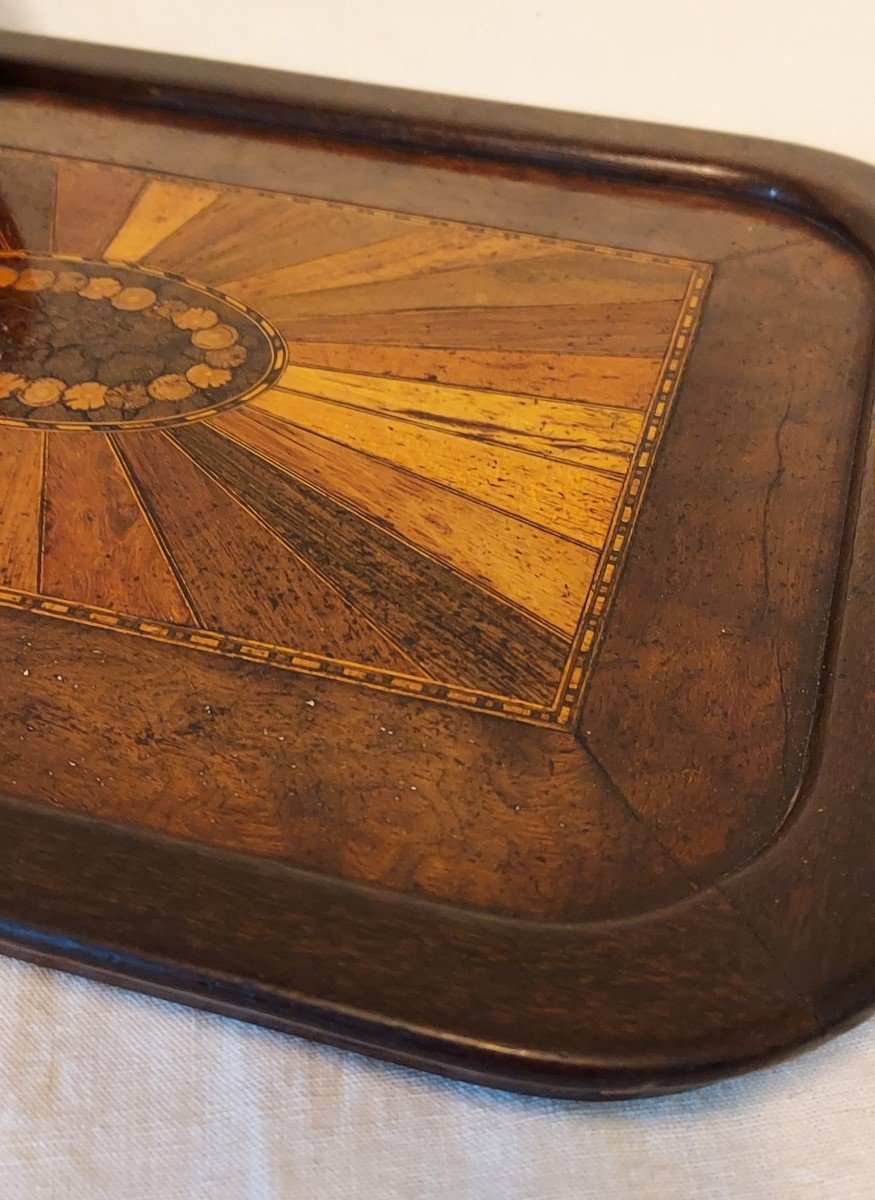 Wood Marquetry Tray With Sampling Of Several Species In Radiant Decor.-photo-3