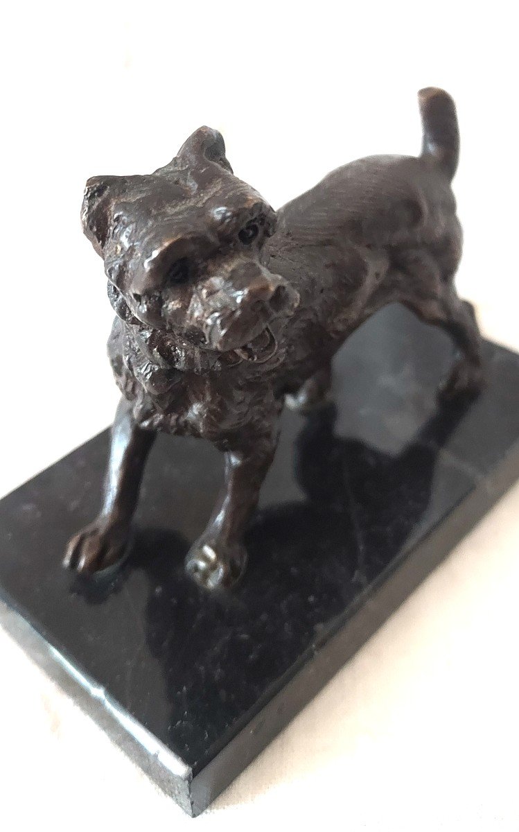 Pyrenees Labri Dog In Bronze With Medal Patina On Its Marble Terrace From The 19th Century-photo-3