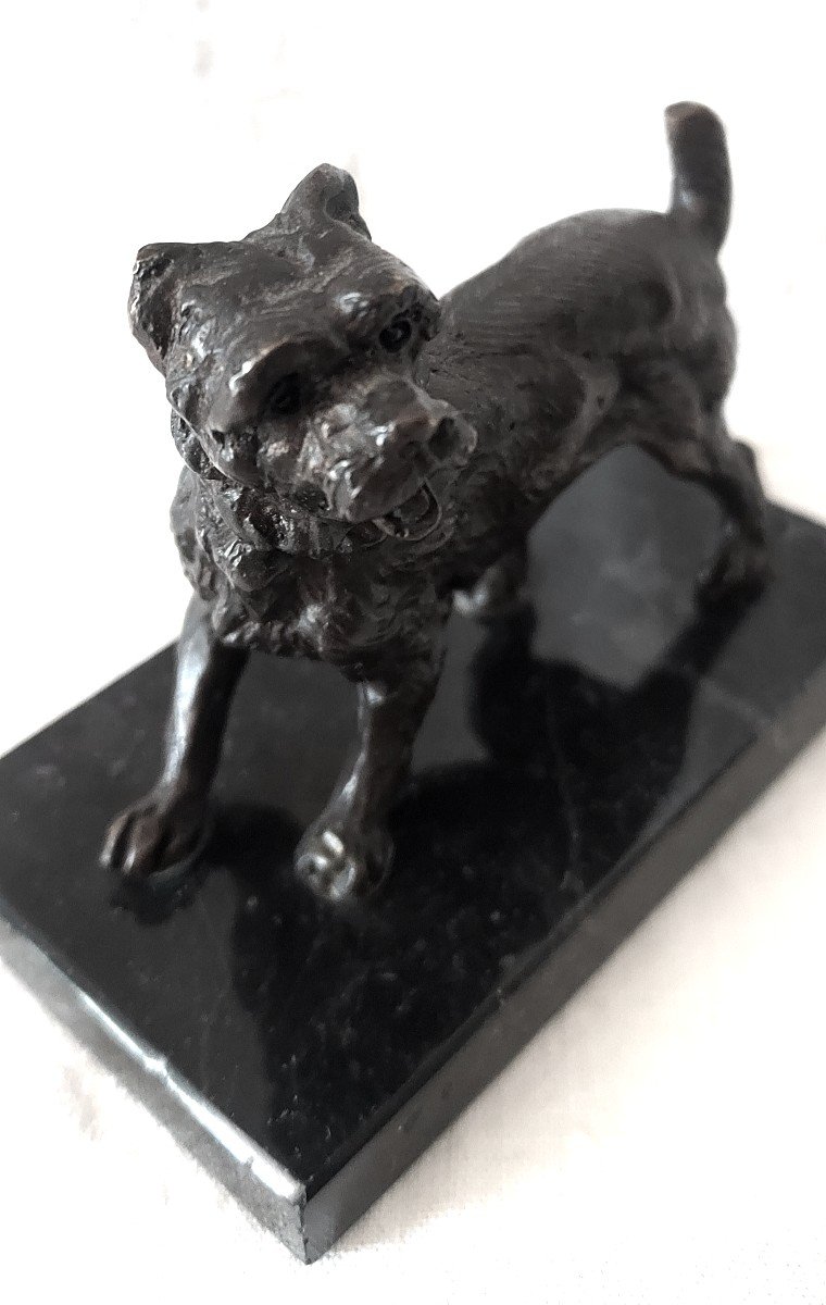 Pyrenees Labri Dog In Bronze With Medal Patina On Its Marble Terrace From The 19th Century-photo-2