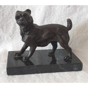 Pyrenees Labri Dog In Bronze With Medal Patina On Its Marble Terrace From The 19th Century