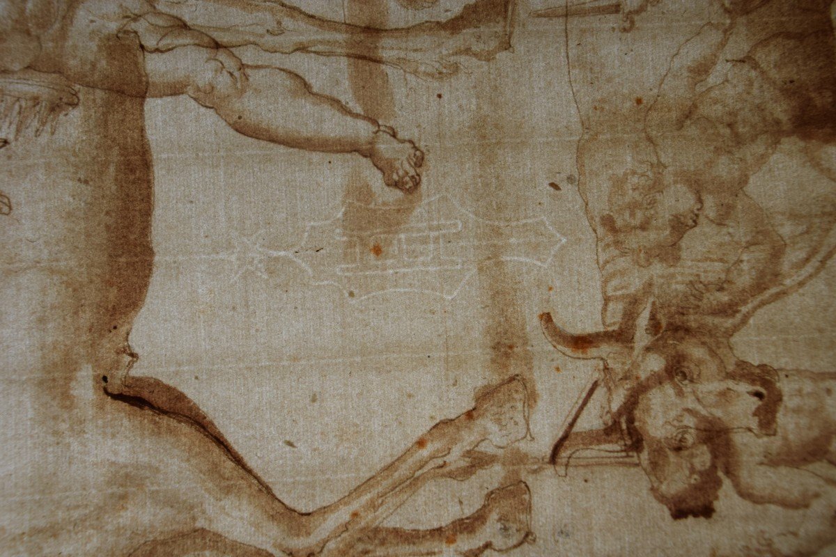 Italian School, Late 16th Century. Study Of A Horse & A Bull. Cupid On The Back. Bürgi Coll. L.3400-photo-4