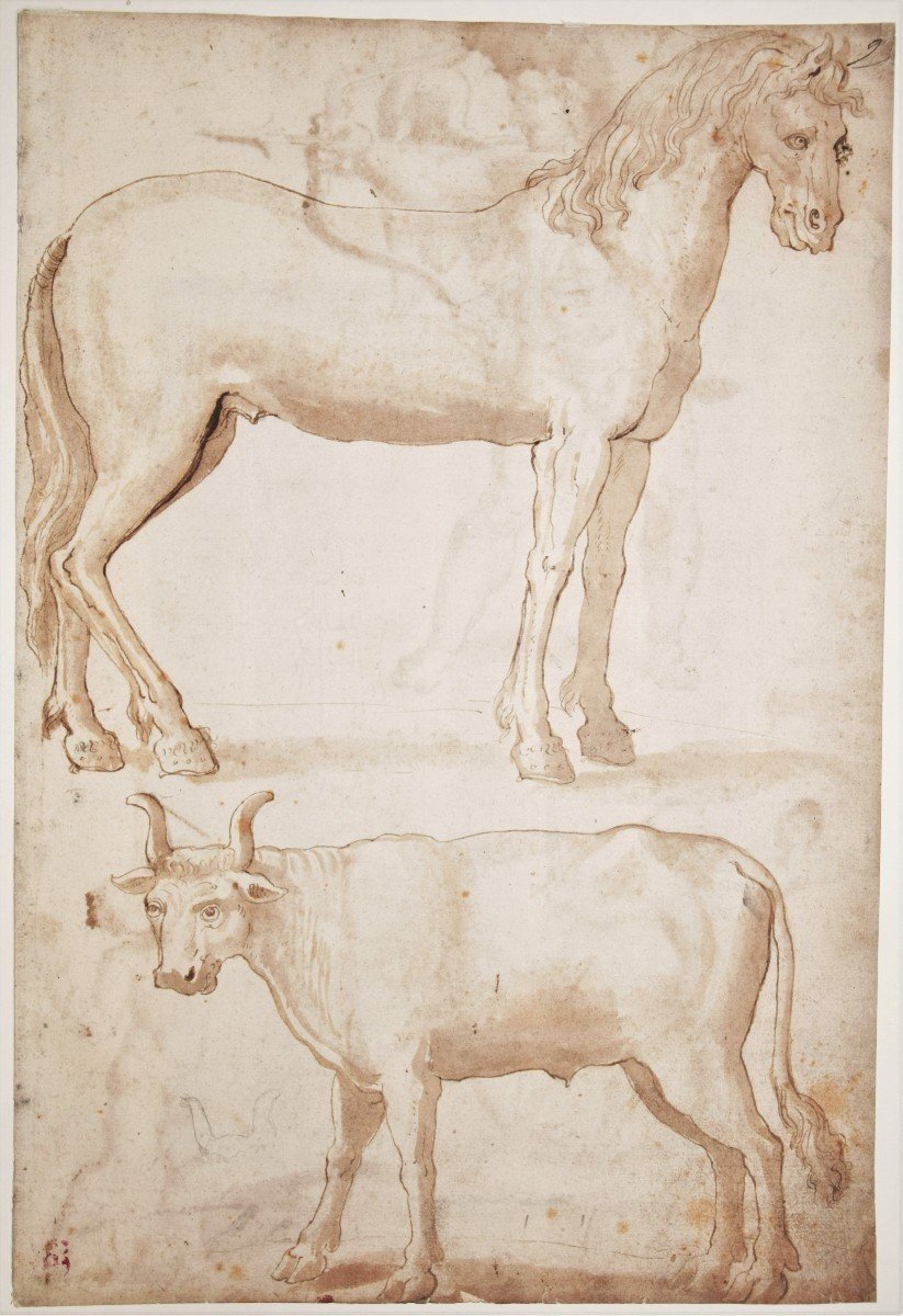 Italian School, Late 16th Century. Study Of A Horse & A Bull. Cupid On The Back. Bürgi Coll. L.3400