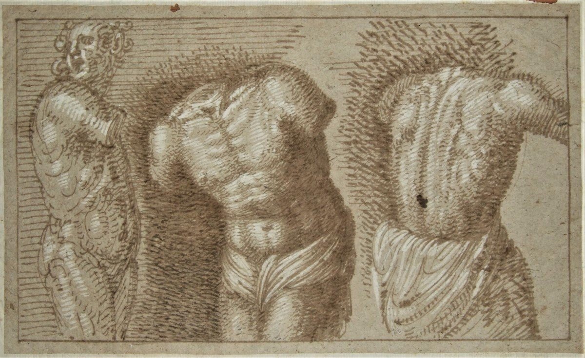 Peseudo-gherardi. Three Bust Studies. Italy 17th.