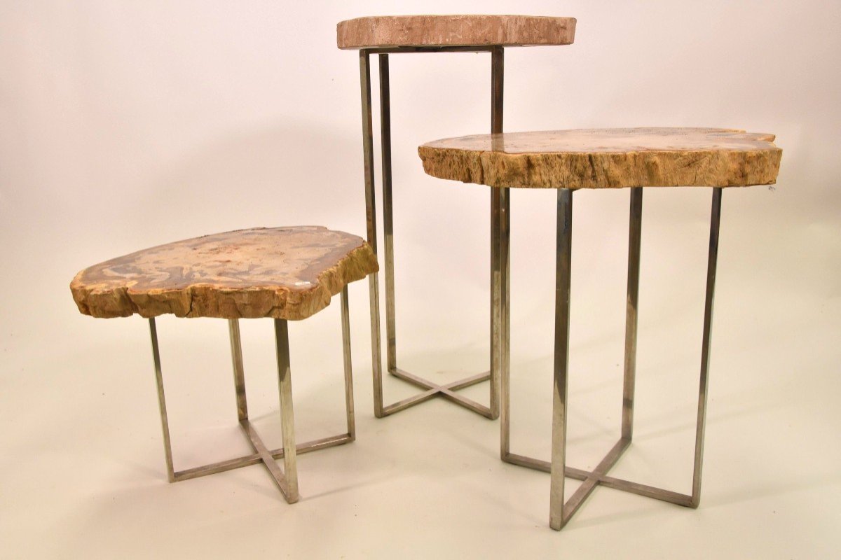 3 Petriefed Wood Nesting Tables-photo-2