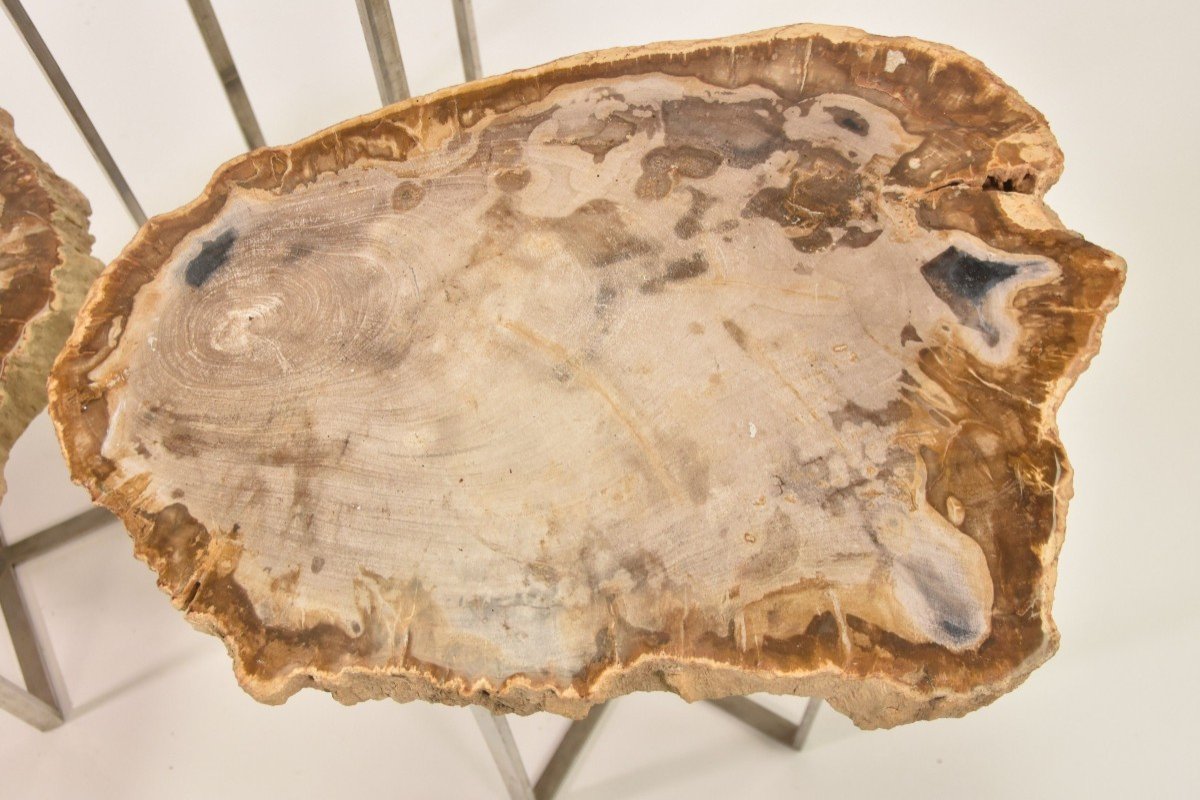 3 Petriefed Wood Nesting Tables-photo-3