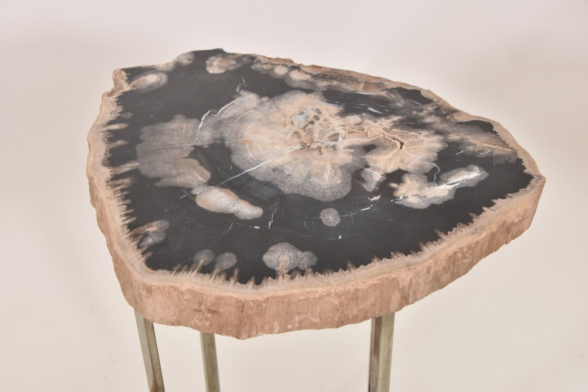 3 Petriefed Wood Nesting Tables-photo-1