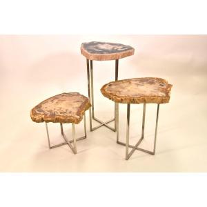 3 Petriefed Wood Nesting Tables